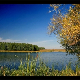 Природа Добровского района